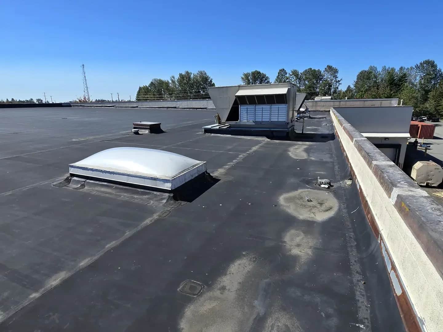 Commercial project — Green O Construction, Beaverton / Portland metro