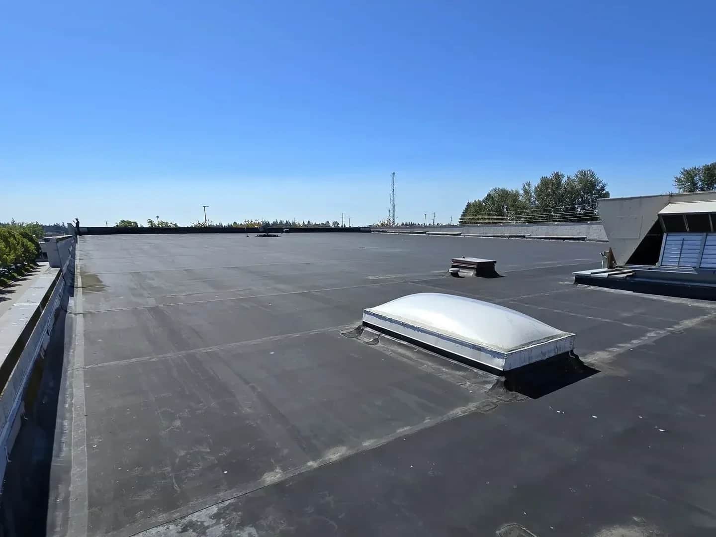Commercial project — Green O Construction, Beaverton / Portland metro
