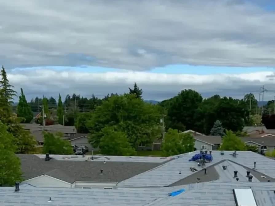 Commercial project — Green O Construction, Beaverton / Portland metro