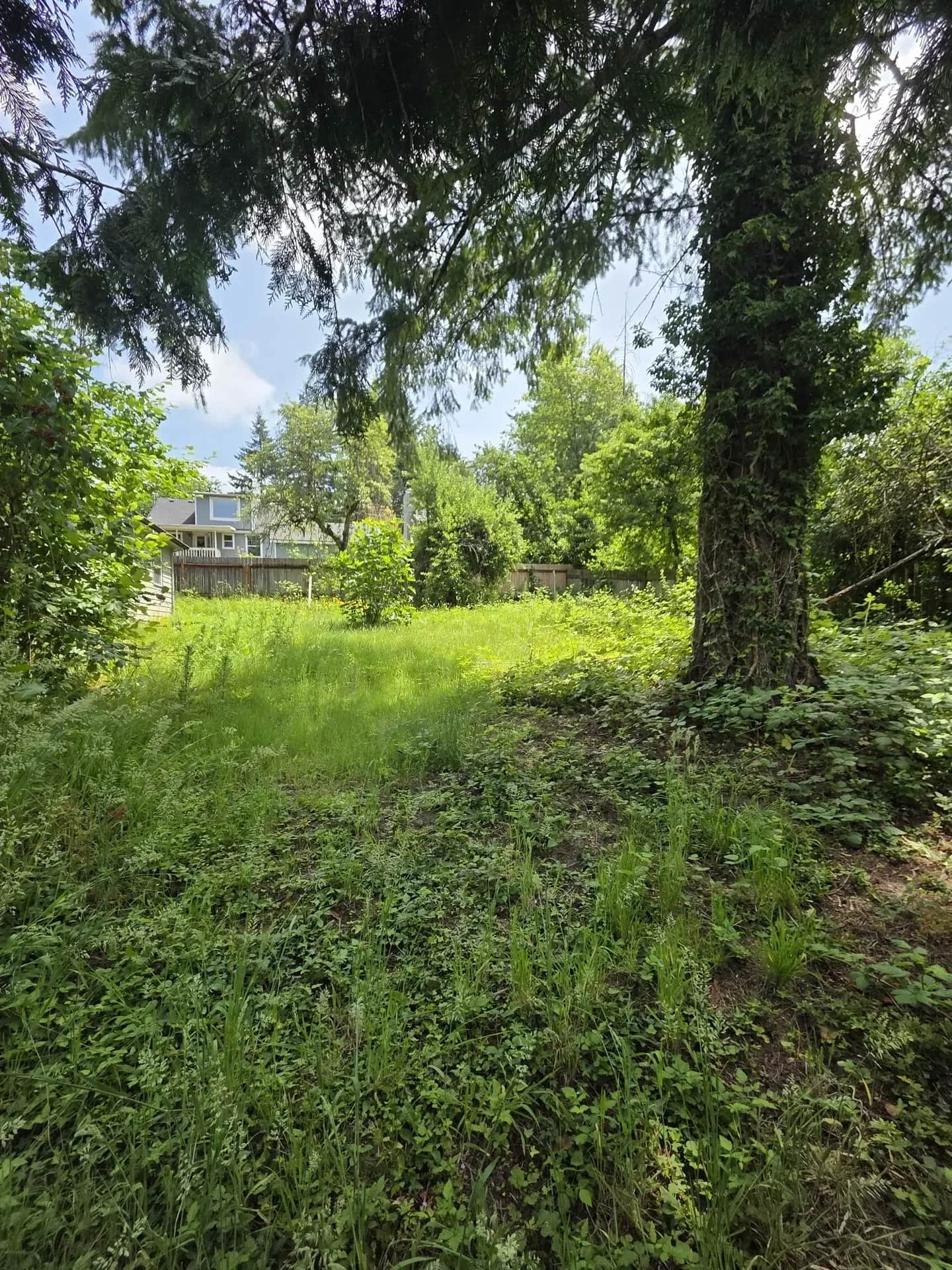 Exterior project — Green O Construction, Beaverton / Portland metro