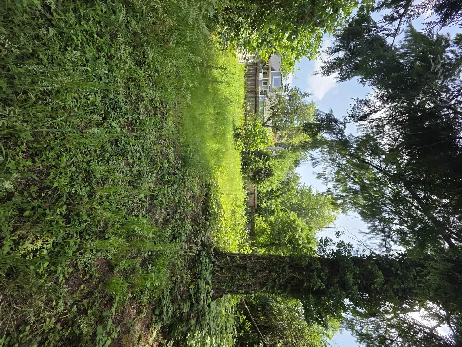 Exterior project — Green O Construction, Beaverton / Portland metro