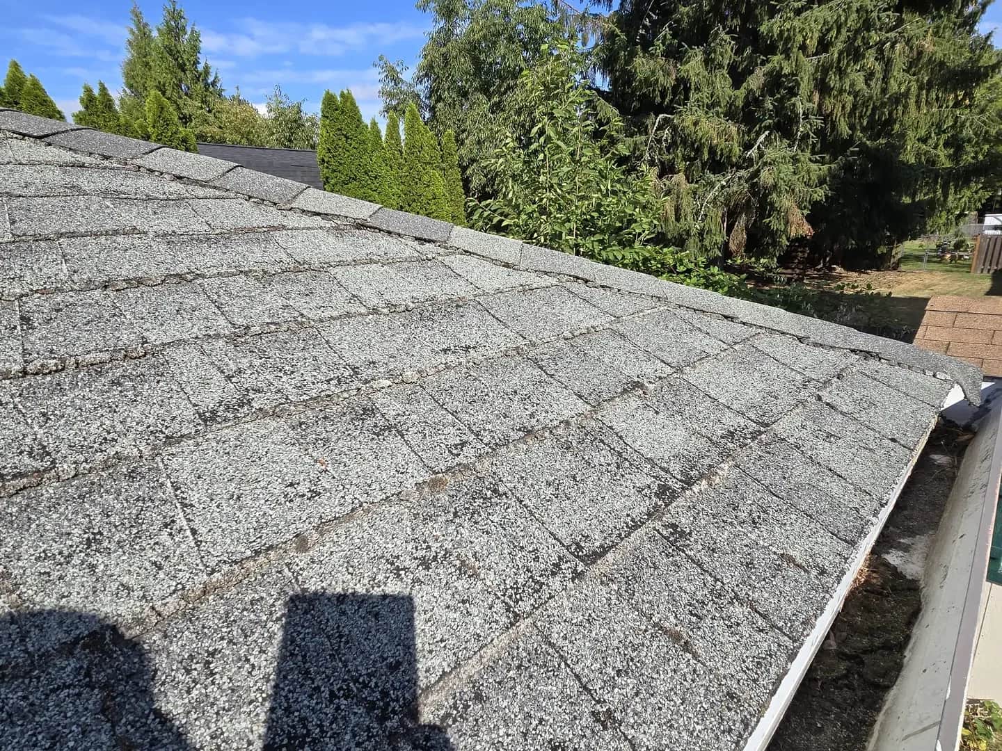 Roofing project — Green O Construction, Beaverton / Portland metro