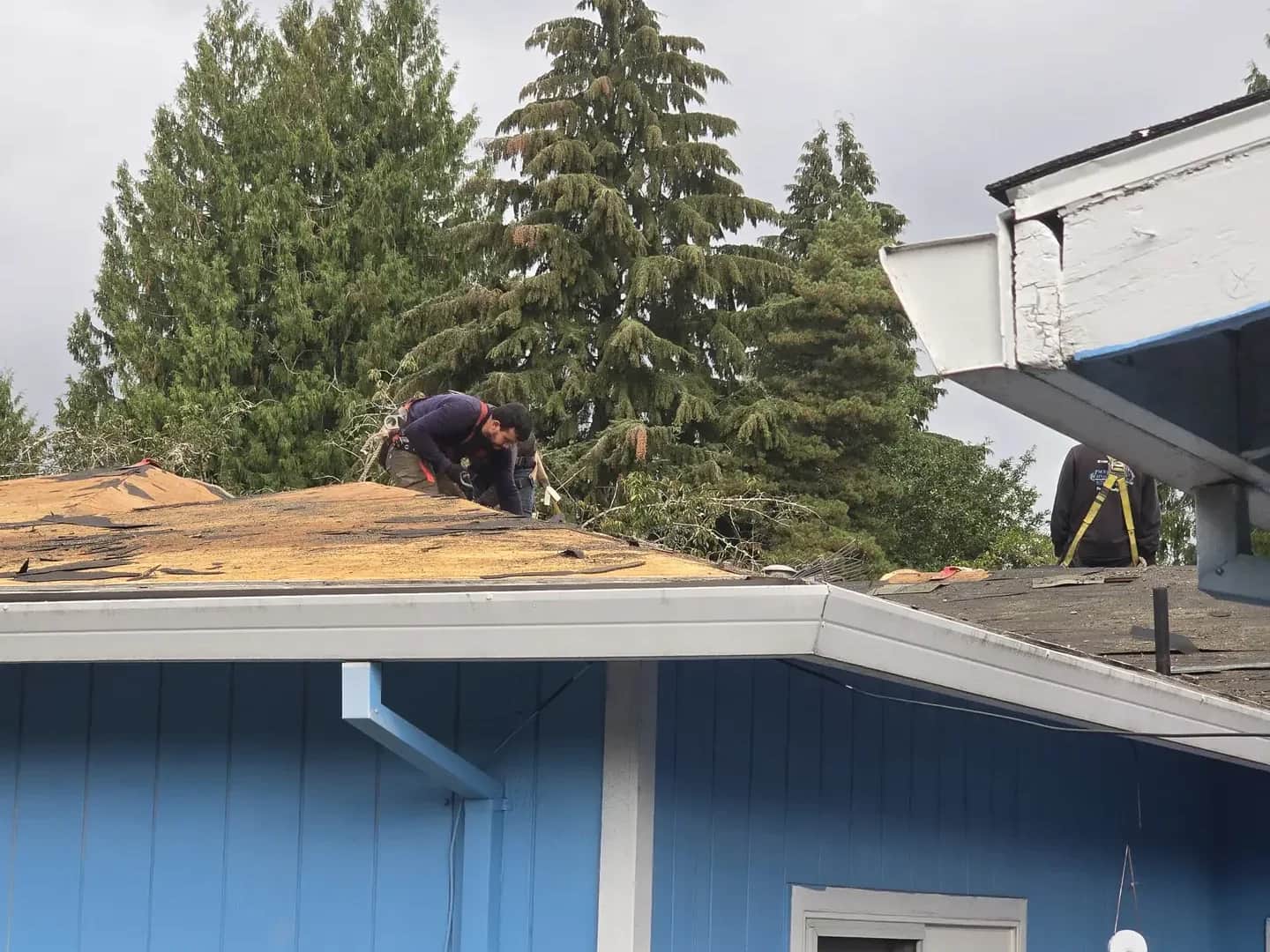 Roofing project — Green O Construction, Beaverton / Portland metro