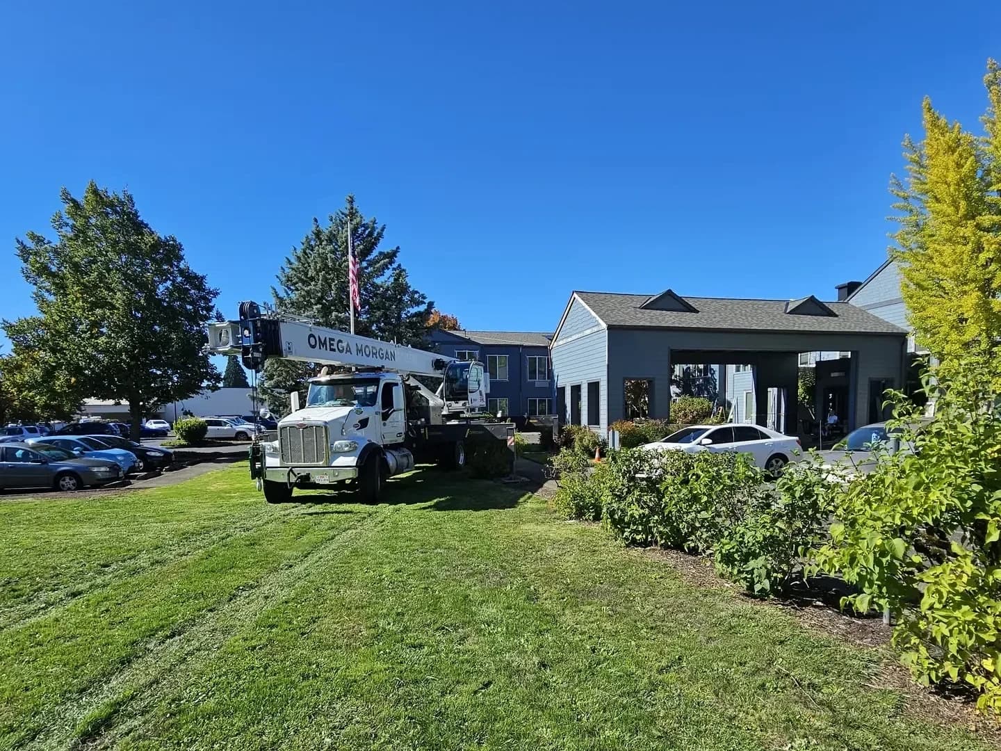 Commercial project — Green O Construction, Beaverton / Portland metro
