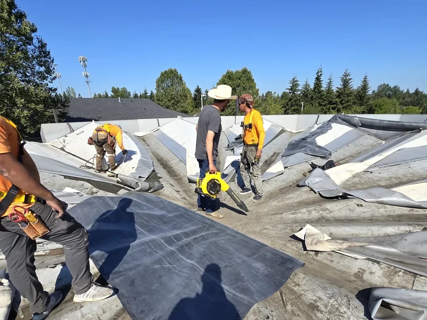 Commercial project — Green O Construction, Beaverton / Portland metro