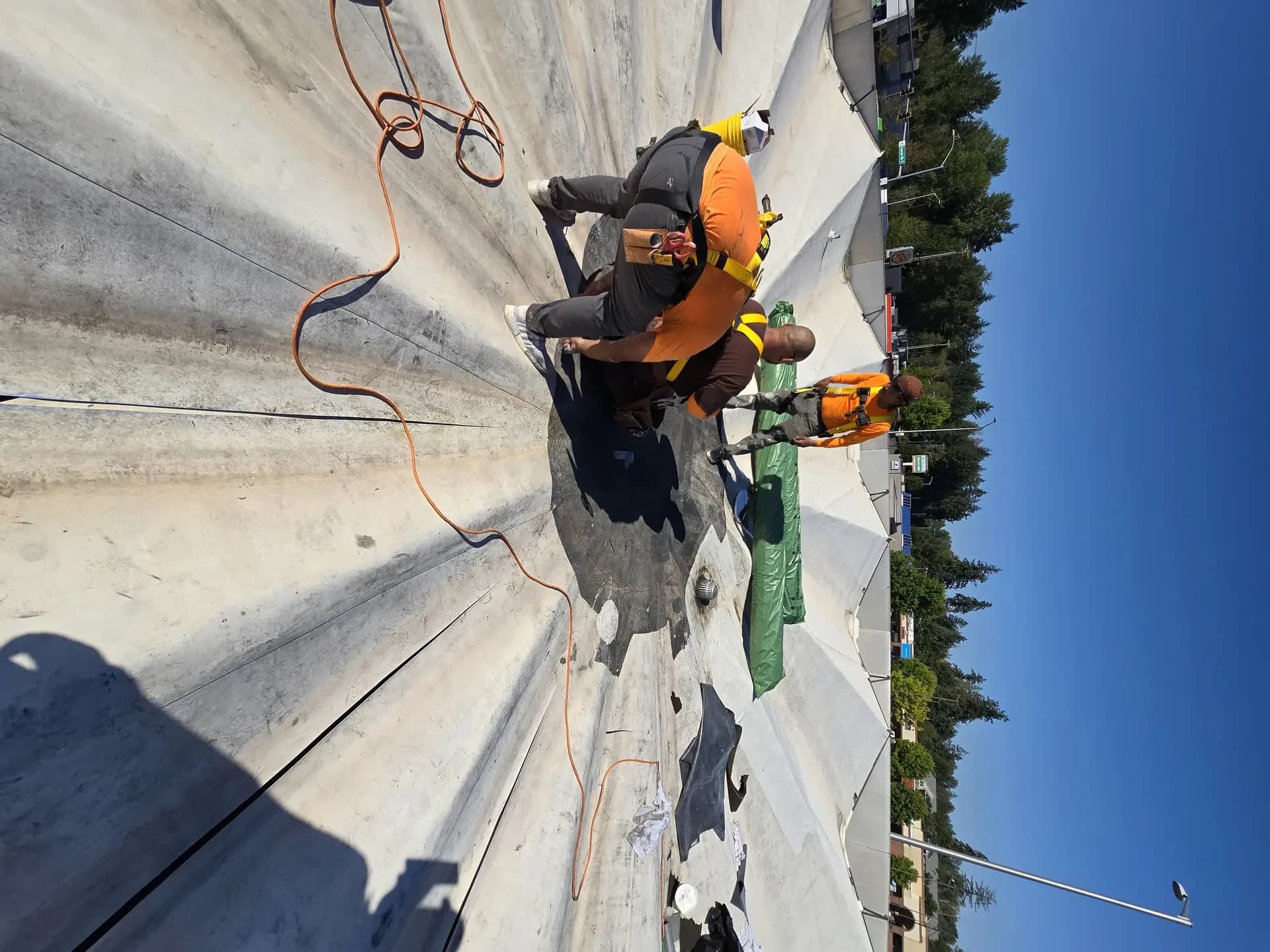 Commercial project — Green O Construction, Beaverton / Portland metro