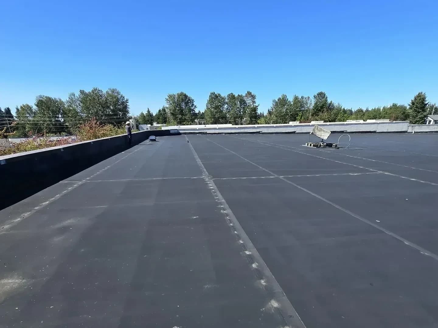 Commercial project — Green O Construction, Beaverton / Portland metro