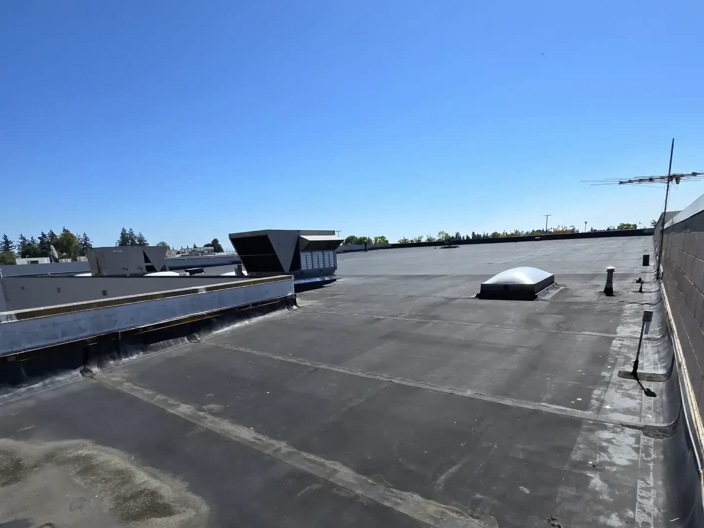Commercial project — Green O Construction, Beaverton / Portland metro