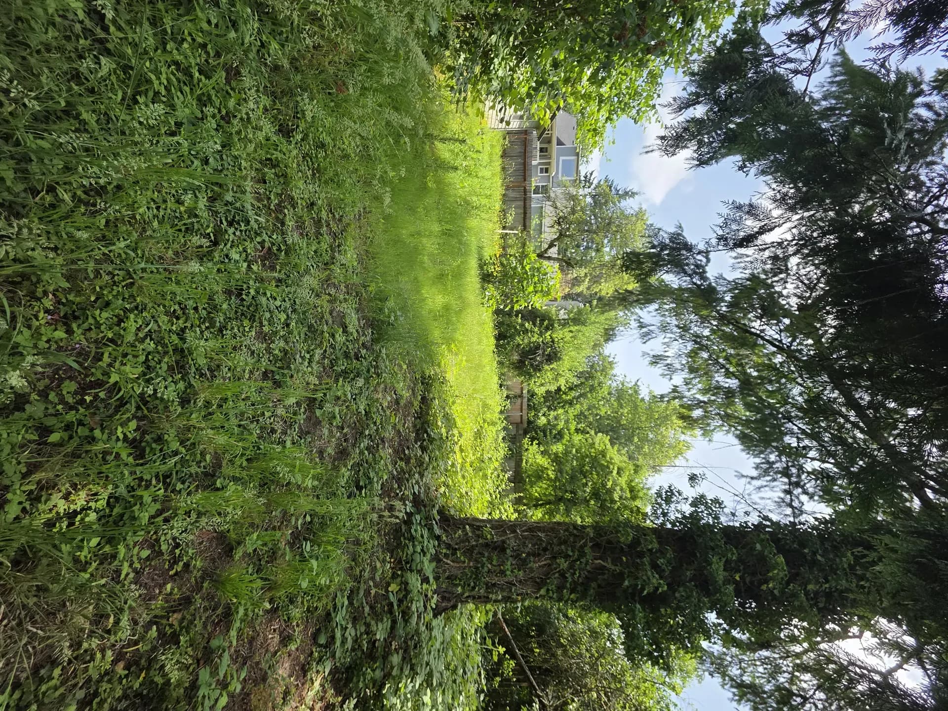 Exterior project — Green O Construction, Beaverton / Portland metro