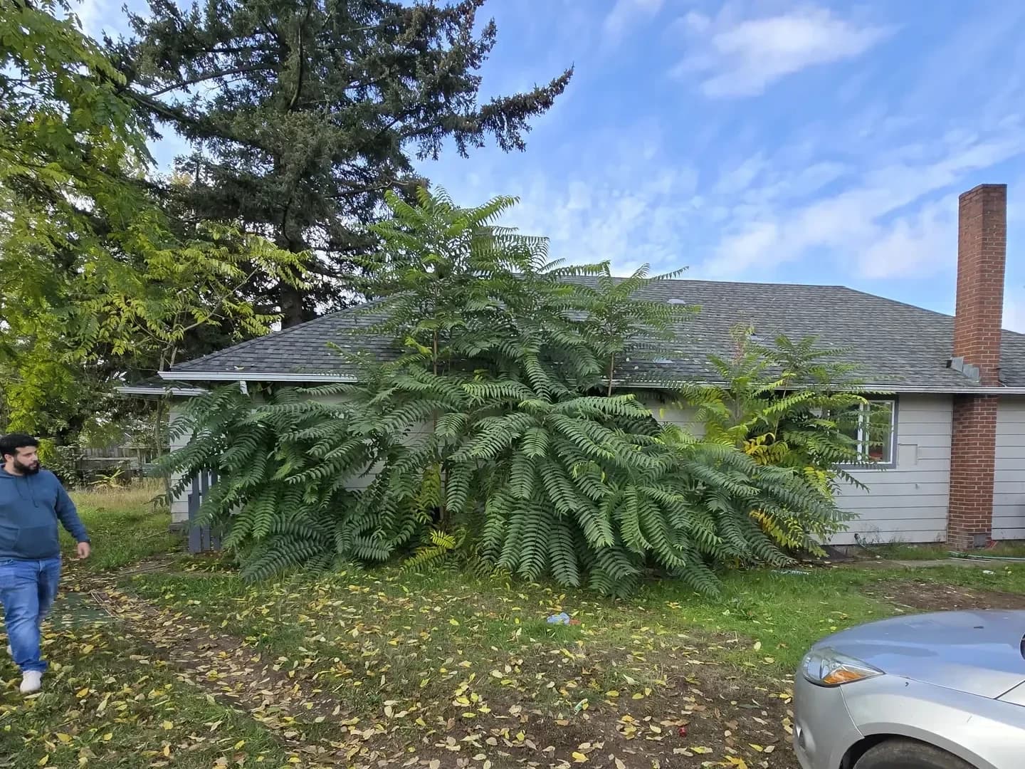 Membership project — Green O Construction, Beaverton / Portland metro