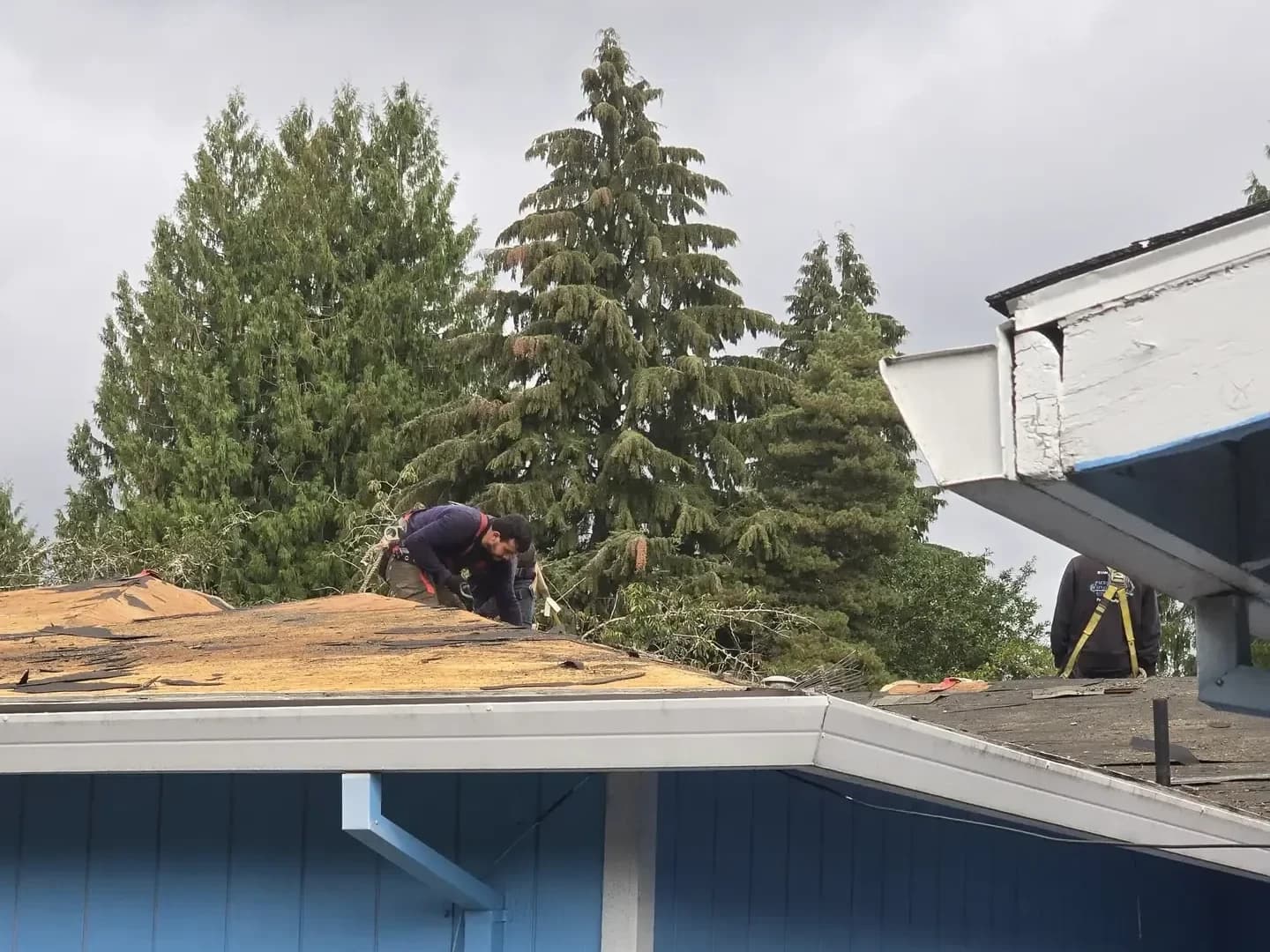 Roofing project — Green O Construction, Beaverton / Portland metro