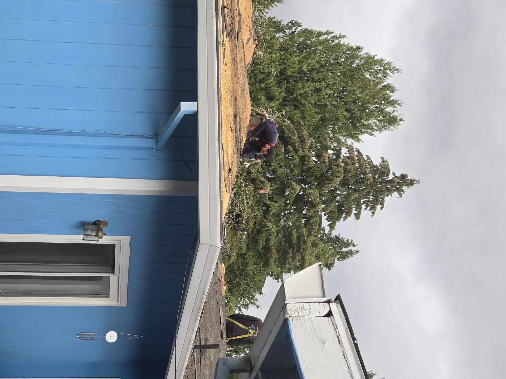 Roofing project — Green O Construction, Beaverton / Portland metro