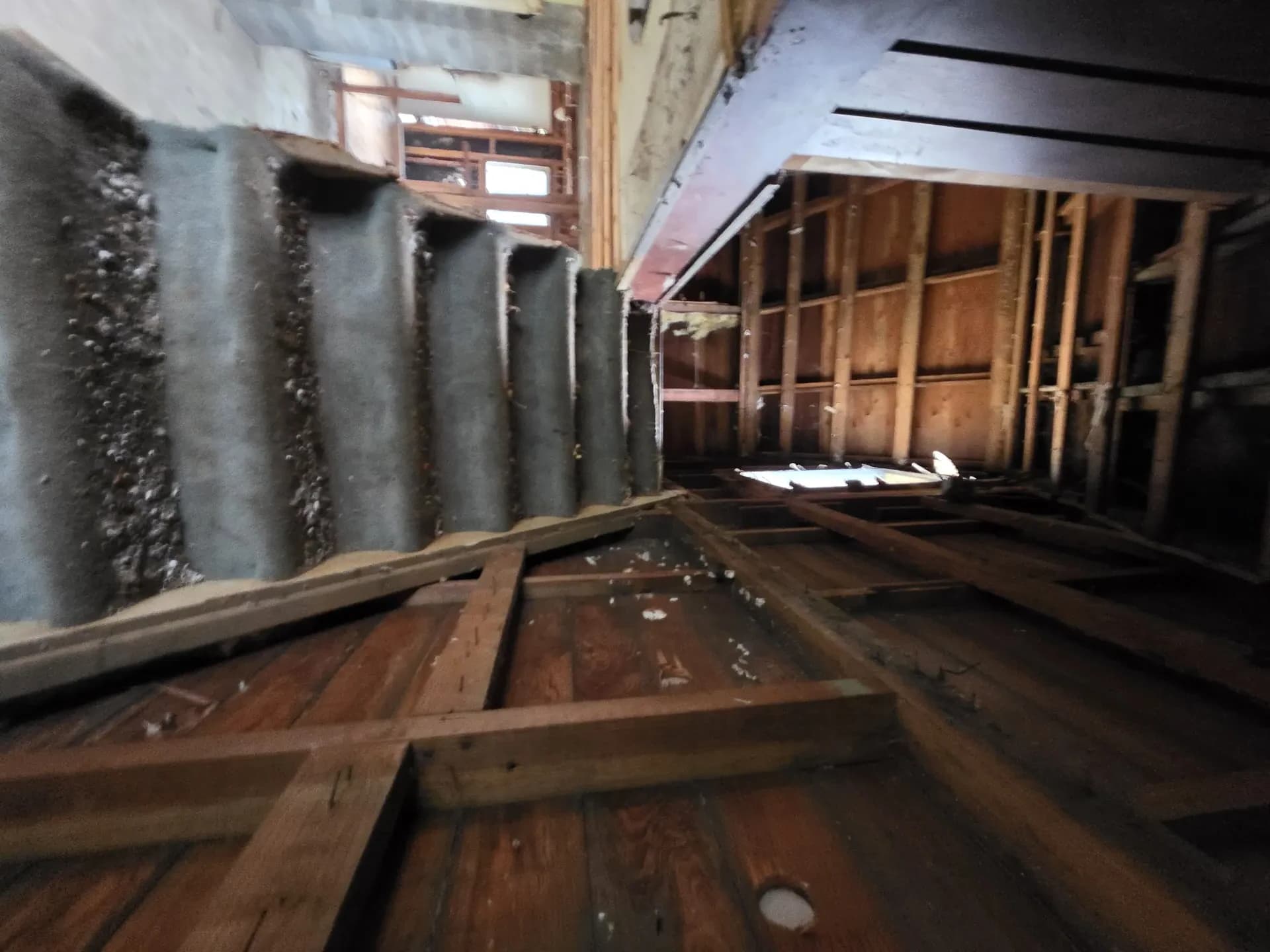 Storm project — Green O Construction, Beaverton / Portland metro