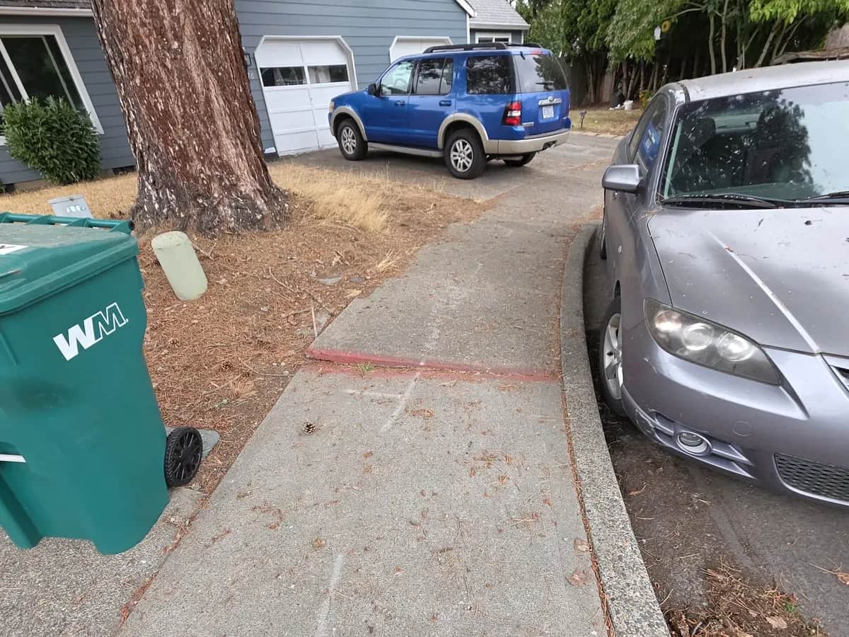 Completed concrete driveway, full view