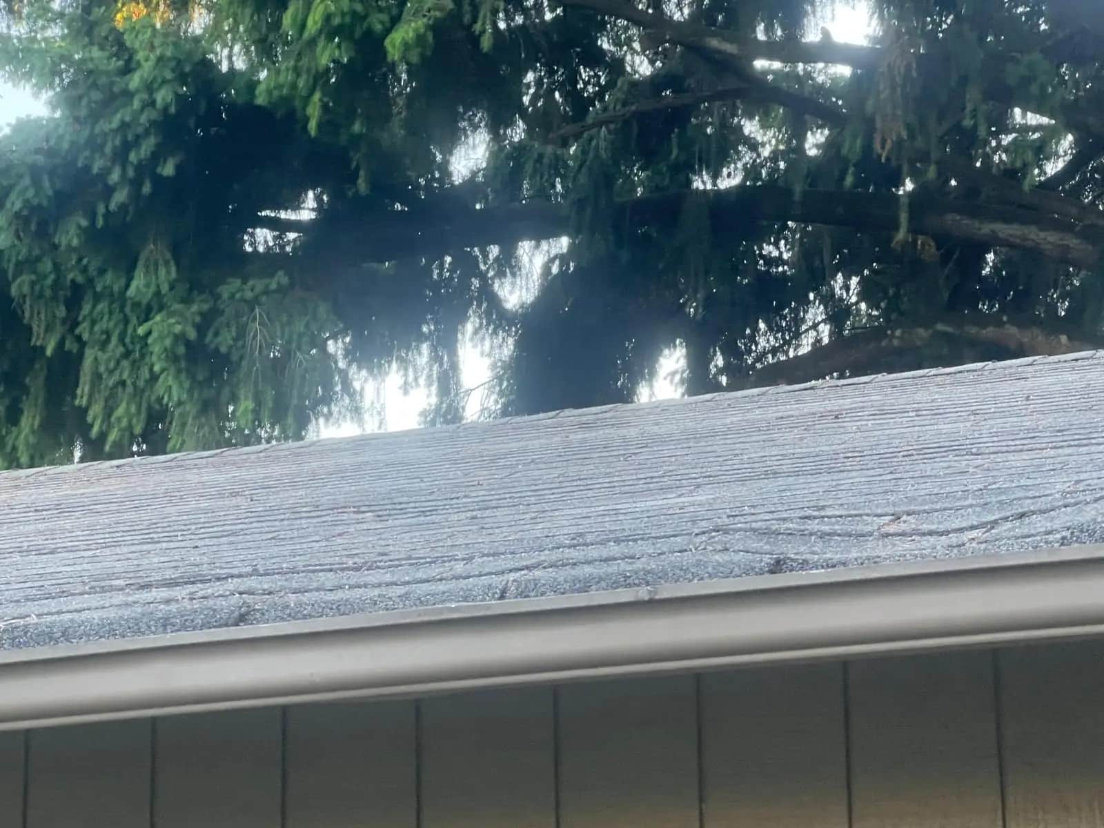 Finished residential reroof, full elevation